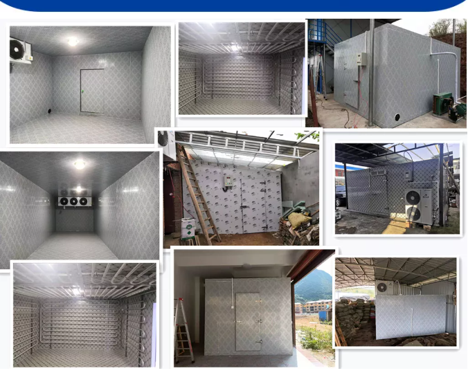 Brand New Fruit Vegetable Coldroom Mobile Mini Cold Storage Room ...