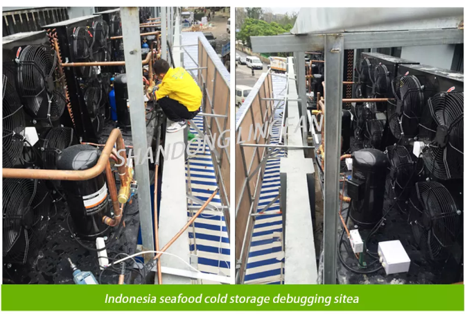 Mobile Container Best Solar Power Cold Storage Room for Fish Meat ...