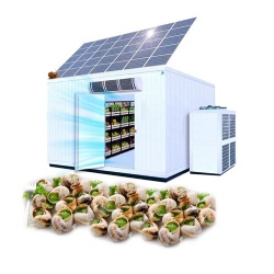 Brand New Fruit Vegetable Coldroom Mobile Mini Cold Storage Room Refrigeration Unit Container Freezer for Wholesales