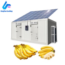 Cold Room Brand New Fruit Vegetable Coldroom Mobile Mini Cold Storage Room Refrigeration Unit Container Freezer for Wholesales