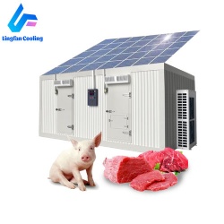 Walk in Freezer Solar Cold Room Brand New Fruit Vegetable Coldroom Mobile Mini Cold Storage Room Refrigeration Unit Container Freezer for Wholesales