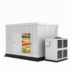 Restaurant commercial cold storage freezer walk-in refrigerator freezer