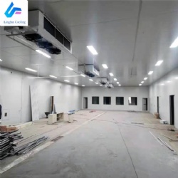 Large Customized Prefabricated Cold Storage Room