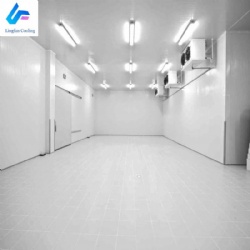 Commercial Large Capacity Cold Room for Tropical Areas