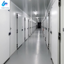 Factory High Quality Large Commercial Cold Storage Room