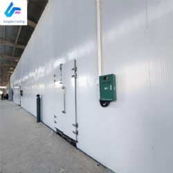 Fruits Vegetables Large Customerized Cold Room Walk in Cooler Meat