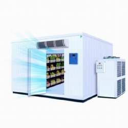 20‘GP FT Vegetable Fruit Customized Cold Storage Room Refrigerator